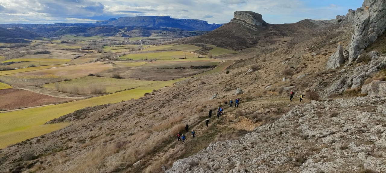 WhatsApp Image 2026-02-10 at 14.47.49 (4)